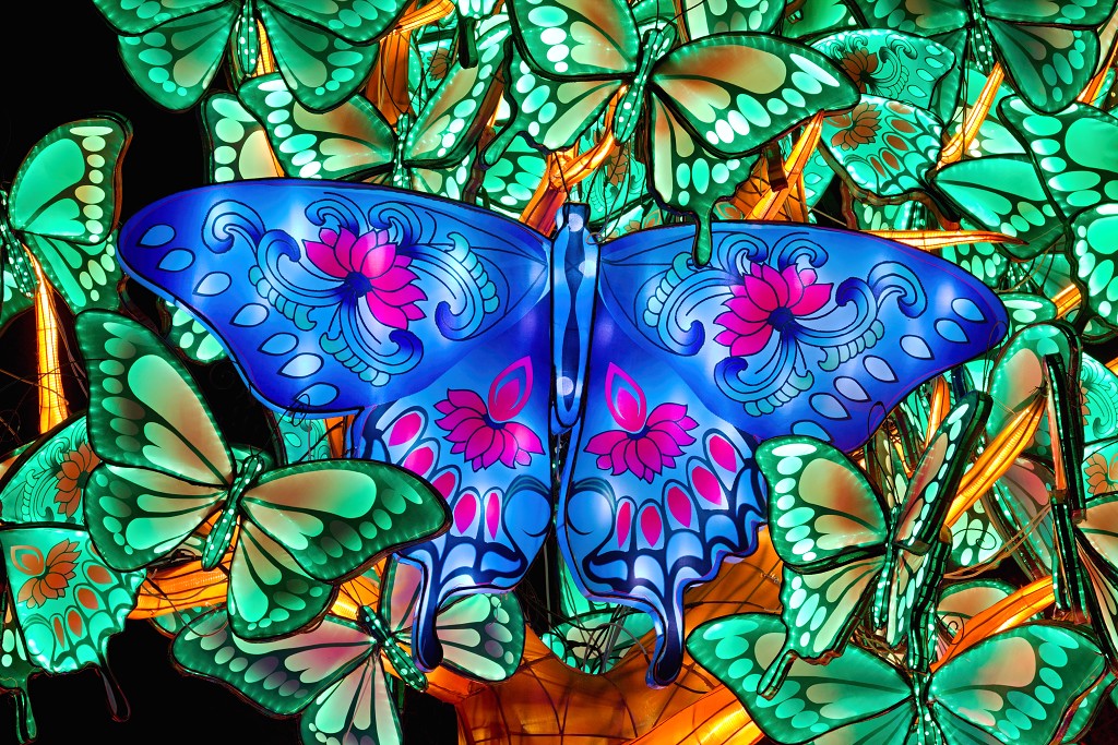 china light licht festival lichtshow show festiviteit glow evenement event chinees chinese verlichting draak dragon lichtfestival zoo